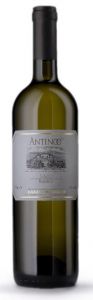 Antinoo Casale del Giglio 2024 cl 75