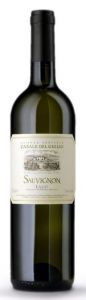 Sauvignon Casale del Giglio 2024 cl 75