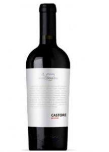 Castore Cincinnato 2025 cl 75