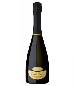 Prosecco Superiore di Valdobbiadene Millesimato DOCG Extra Dry Col De Salici cl 75