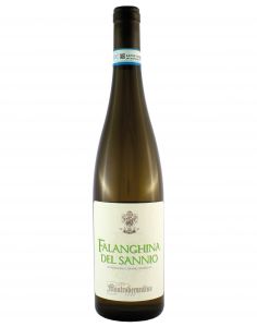 Falanghina del Sannio DOC 2024 Mastroberardino Cl. 75